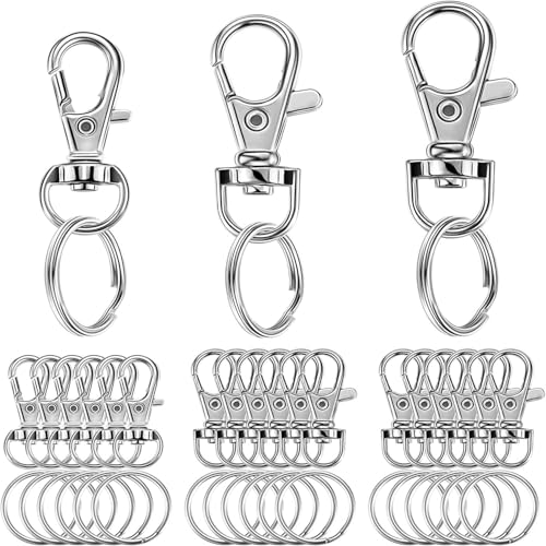 40 Stück Schlüsselanhänger-Ring-Clips (3 Größen), Karabinerhaken mit Schlüsselringringe, Schlüsselketten Clip, Karabinerverschlüsse, für Schlüsselbund-Bastelprojekte, Harzprojekte, Schlüsselband von ZEACCT