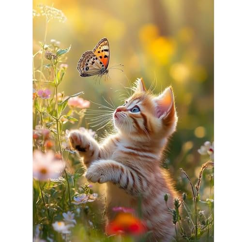 ZEELANNA Diamond Painting Erwachsene, Diamond Painting Bilder 5D Diamant Set Diamant Malerei DIY Diamant Painting Bilder Erwachsene für Home Wand Decoration 30x40cm Katze fängt Schmetterling ZEELANNA Diamond Painting Erwachsene, Diamond Painting Bilder 5D Diamant Set Diamant Malerei DIY Diamant Painting Bilder Erwachsene für Home Wand Decoration 30x40cm Katze fängt Schmetterling von ZEELANNA