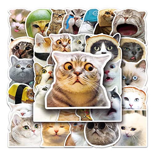 ZELAITE Lustiges Katzen Aufkleber Set, 50 Stück Niedliche Katzen Aufkleber, Tier Sticker für Laptop, Skateboard, Computer (D) von ZELAITE