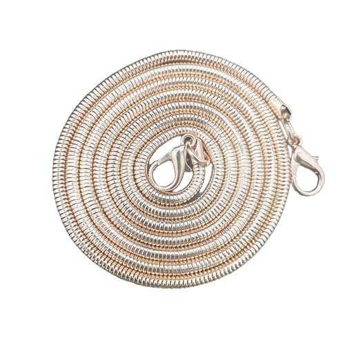 ZENZDS 1/2 Stück Schlangen-Taschenkette aus Legierung, Leichter Schnappverschluss, 120 cm Metall-Geldbörsenriemen, für DIY-Handtaschenherstellung, Taschenanpassung, Bastelbedarf ZENZDS 1/2 Stück Schlangen-Taschenkette aus Legierung, Leichter Schnappverschluss, 120 cm Metall-Geldbörsenriemen, für DIY-Handtaschenherstellung, Taschenanpassung, Bastelbedarf von ZENZDS