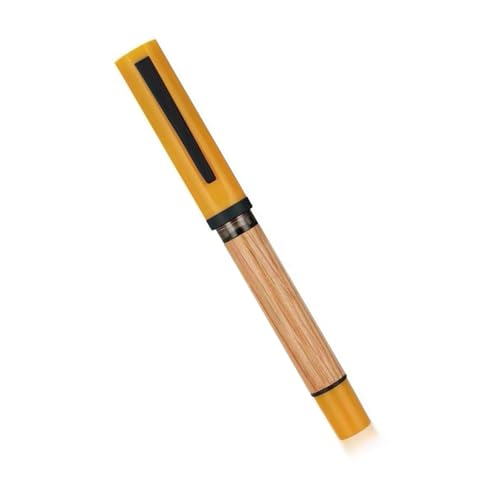 Kalligraphie-Stift, 0,5 mm, Füllfederhalter, Business-Stift, glattes Schreiben, praktischer Schreibwarenstift, Schulbedarf zum Schreiben von ZEPFJHE