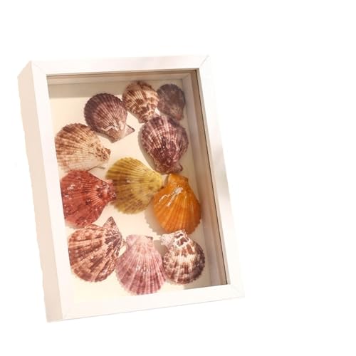 ZFIHAV Musterrahmen 3D-Fotorahmen aus Holz, handgefertigt, DIY-Probenrahmen, Pflanzenproben-Display, Bilderrahmen, Heimdekoration(White-depth-3cm,Rectangle-10in) von ZFIHAV