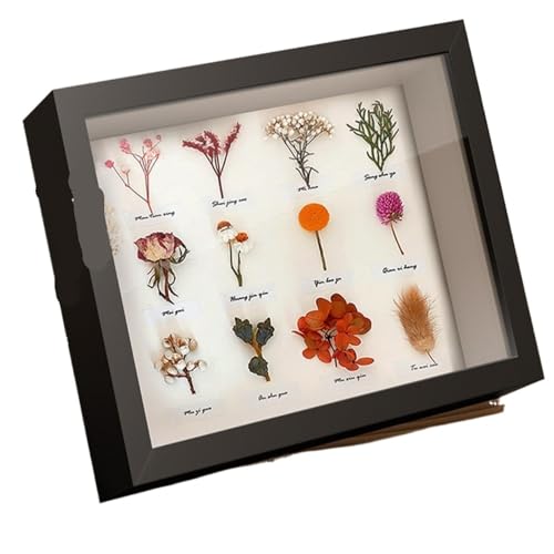 ZFIHAV Musterrahmen Blumen-Schattenbox, Holz-Probenrahmen, tiefer Bilderrahmen, Foto-Display, Präsentationsbox for Bildproben(Black,7 inches) von ZFIHAV