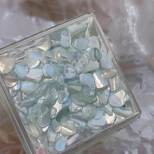 1 Box unregelmäßige Muschel-Nagel-Charms, natürliche, Abalone-, Nail Art Flake, 3D-Dekorscheiben, kleine Kies-Design-Flocken, Stein-PT190-03 von ZFISH