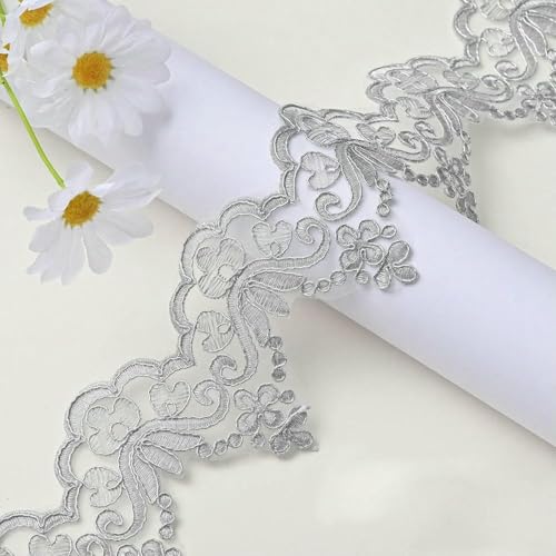 1 Yard golden-silberner Spitzenbesatz mit Autoknochen, für Brautkleider, Schleier, Pailletten, Spitzenstoff, Tanzkostüm-Zubehör, 9,2 cm breit, Silber, 1 Yard 1 Yard golden-silberner Spitzenbesatz mit Autoknochen, für Brautkleider, Schleier, Pailletten, Spitzenstoff, Tanzkostüm-Zubehör, 9,2 cm breit, Silber, 1 Yard von ZFISH