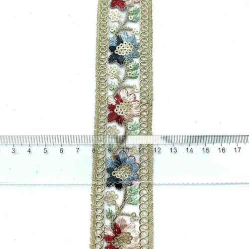 2 m/6,56 Fuß pro Packung, große, breite Organza-Spitzenbesätze, Blumenstickerei, Stoff, Pailletten, Nähvorhang, Accessoire, DIY-Basteldekorationen, hellgolden, 2 Meter 2 m/6,56 Fuß pro Packung, große, breite Organza-Spitzenbesätze, Blumenstickerei, Stoff, Pailletten, Nähvorhang, Accessoire, DIY-Basteldekorationen, hellgolden, 2 Meter von ZFISH