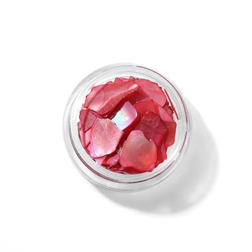 Natürlicher Glitzer, Abalone-Muschelfragmente, Scheibenflocken für Nagelkunst-Dekoration, Charm-Scheiben, DIY-Zubehör, UV-Rahmen, Harzschmuck, Nr. 23, Box, 1 Stück, 50 g Natürlicher Glitzer, Abalone-Muschelfragmente, Scheibenflocken für Nagelkunst-Dekoration, Charm-Scheiben, DIY-Zubehör, UV-Rahmen, Harzschmuck, Nr. 23, Box, 1 Stück, 50 g von ZFISH