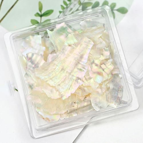 Unregelmäßige Abalone-Muschel-Nagel-Charms, dünne natürliche Muschelscheiben, Fragmente, Stein-Nagelkunst-Flocken, DIY-Schönheitssalon-Werkzeuge-PT189-05 Unregelmäßige Abalone-Muschel-Nagel-Charms, dünne natürliche Muschelscheiben, Fragmente, Stein-Nagelkunst-Flocken, DIY-Schönheitssalon-Werkzeuge-PT189-05 von ZFISH