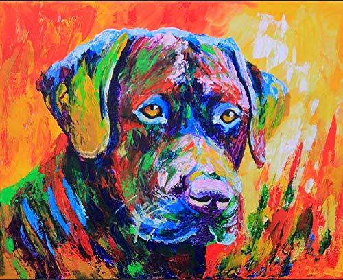 Diamant Painting Kinder 5D Diamond Painting Kits, bunter Hund Labrador DIY Malen Nach Zahlen Erwachsene Diamant Malerei Geburtstagsgeschenke30*40cm Diamant Painting Kinder 5D Diamond Painting Kits, bunter Hund Labrador DIY Malen Nach Zahlen Erwachsene Diamant Malerei Geburtstagsgeschenke30*40cm von ZGQAMZ