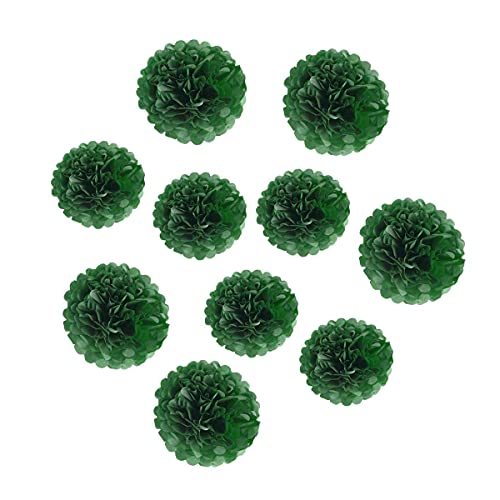 10 Stück Papier-Pompons Seidenpapier Blume Kunst Handwerk DIY hängende Blumen für Party Hochzeit Babyparty Krankenschwester Wanddekoration (20,3 cm + 25,4 cm, dunkelgrün) von ZGjoy