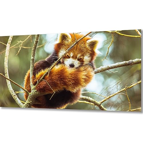 ZGmaxCL 5D Diamanten Gemälde Set Diamond Painting Bilder Puzzles Erwachsene Full Groß Roter Panda und Baum Home Wand Décor 80x40cm von ZGmaxCL