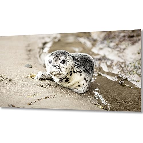 ZGmaxCL 5D Diamanten Gemälde Set Puzzles DIY Diamant Malerei Kit Erwachsene Kinder Groß Robben und Sand Wall Dekoration 80x40cm ZGmaxCL 5D Diamanten Gemälde Set Puzzles DIY Diamant Malerei Kit Erwachsene Kinder Groß Robben und Sand Wall Dekoration 80x40cm von ZGmaxCL