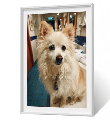 Diamond Painting Set Tier Diamant Painting Bilder Erwachsene Groß DlY Art Kinder Full Drill Diamond Malerei Hund 5D Diamant Kunst Malerei Stickerei Mosaic Bastelset Home Decor 50 x 70 cm ZBSF271 Diamond Painting Set Tier Diamant Painting Bilder Erwachsene Groß DlY Art Kinder Full Drill Diamond Malerei Hund 5D Diamant Kunst Malerei Stickerei Mosaic Bastelset Home Decor 50 x 70 cm ZBSF271 von ZHANGBINGSHENDIAN