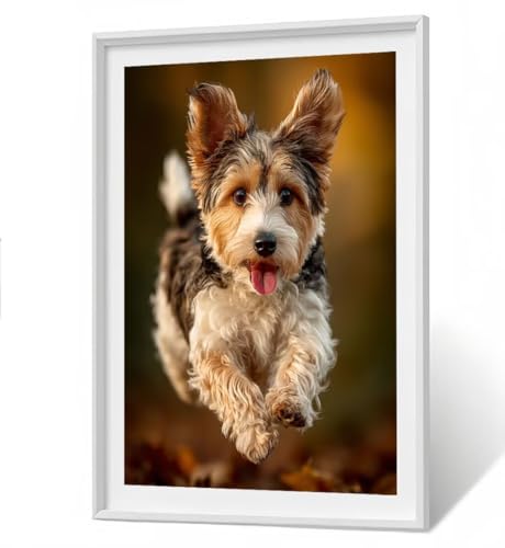 Diamond Painting Set Tier Diamant Painting Bilder Erwachsene Groß DlY Art Kinder Full Drill Diamond Malerei Hund 5D Diamant Kunst Malerei Stickerei Mosaic Bastelset Home Decor 60x80 cm ZBSF241 Diamond Painting Set Tier Diamant Painting Bilder Erwachsene Groß DlY Art Kinder Full Drill Diamond Malerei Hund 5D Diamant Kunst Malerei Stickerei Mosaic Bastelset Home Decor 60x80 cm ZBSF241 von ZHANGBINGSHENDIAN