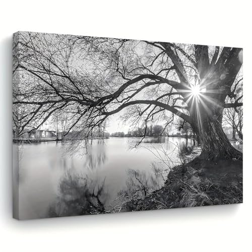 ZHAOLIN Abstrakter schwarz-weißer Baum- und Sonnen-Leinwanddruck, Wandkunst, Landschaft mit reflektierender Wasserszene, moderne Wohnzimmerdekoration, 70 x 100 cm, rahmenlos von ZHAOLIN
