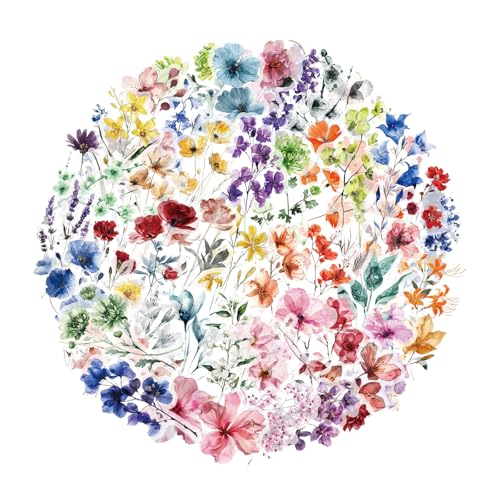 50COUNTS Blumenpflanze Aufkleber Wasserbeständiges Ästhetik Für Kunsthandwerk Scrapbooking Journal Phone Gitarre Laptop Tränenresistent Klar von ZHGFXIN