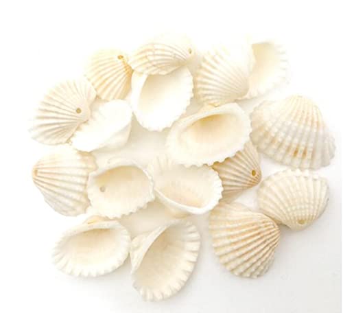 Sea Beach Kaurimuschelperlen für Bastelprojekte, 100 Stück von ZHONGJIUYUAN