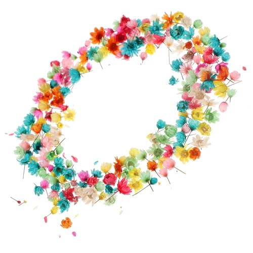 ZHOUXYFDC Getrocknete Blumen Gepresst 1 Beutel mit getrockneten Blumen for Selbermachen, Epoxidharz-Basteln, Herstellung von getrockneten Blumen, Herstellung von getrockneten Blumen ZHOUXYFDC Getrocknete Blumen Gepresst 1 Beutel mit getrockneten Blumen for Selbermachen, Epoxidharz-Basteln, Herstellung von getrockneten Blumen, Herstellung von getrockneten Blumen von ZHOUXYFDC