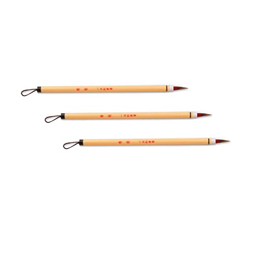 Kalligraphie-Set für Anfänger, chinesisches Kalligraphie-Pinsel-Set, kleiner chinesischer Pinsel mit normaler Schrift, chinesischer Kalligraphie-Pinsel, Aquarell-Pinselstift für (echte Farbe) von ZHSH