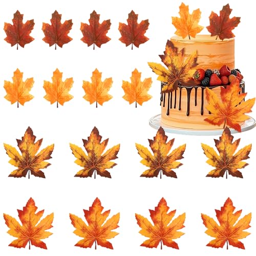 16 Stück Ahornblätter, Tafelaufsatz, Herbstblätter, Tischblumen, Tafelaufsätze, Goldblätter, Blumendekorationen für Thanksgiving, Hochzeit, Geburtstag, Party, Tafelaufsätze, Zubehör, mehrfarbig 16 Stück Ahornblätter, Tafelaufsatz, Herbstblätter, Tischblumen, Tafelaufsätze, Goldblätter, Blumendekorationen für Thanksgiving, Hochzeit, Geburtstag, Party, Tafelaufsätze, Zubehör, mehrfarbig von ZHUOWEISM