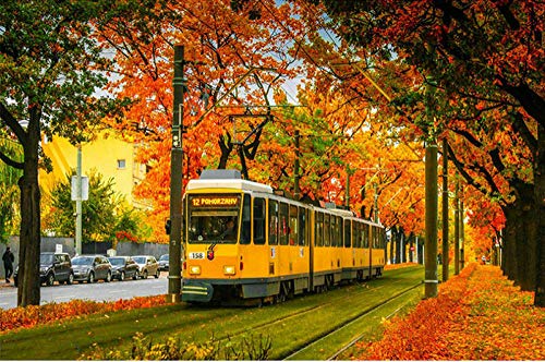 ZHXXFD 5D Diamond Painting Full Bilder Groß 40X50Cm Straßenbahn Herbst Ahornblatt Runde Steine Crystal Strass Diamond Stickerei Set Kreuzstich Mosaik Für Kinder Anfänger Frameless,Zxx5D von ZHXXFD