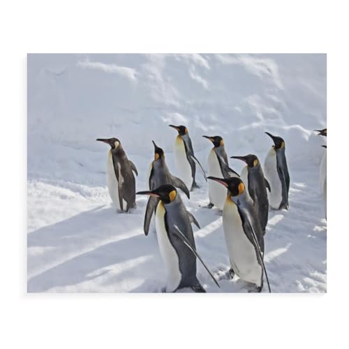 ZHXXFD Diamond Painting Erwachsene Set Pinguin In Winterlandschaft 50X60 Diamant Painting Bilder Groß Steine Rund 5D Diy Diamant Malerei Kits Kreuzstich Stickerei Mosaik Art Craft,B79 ZHXXFD Diamond Painting Erwachsene Set Pinguin In Winterlandschaft 50X60 Diamant Painting Bilder Groß Steine Rund 5D Diy Diamant Malerei Kits Kreuzstich Stickerei Mosaik Art Craft,B79 von ZHXXFD