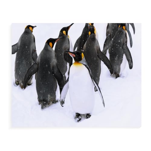 ZHXXFD Diamond Painting Erwachsene Set Pinguin In Winterlandschaft 55X80 Diamant Painting Bilder Groß Steine Rund 5D Diy Diamant Malerei Kits Kreuzstich Stickerei Mosaik Art Craft,B66 ZHXXFD Diamond Painting Erwachsene Set Pinguin In Winterlandschaft 55X80 Diamant Painting Bilder Groß Steine Rund 5D Diy Diamant Malerei Kits Kreuzstich Stickerei Mosaik Art Craft,B66 von ZHXXFD
