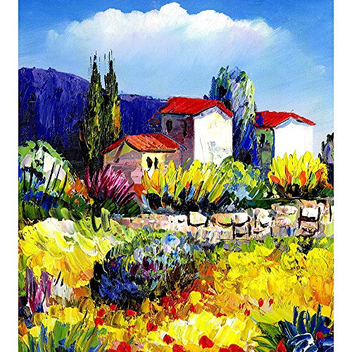 ZXX5D Malen Nach Zahlen Erwachsene Van Gogh Berühmte Gemälde Malen Nach Zahlen Kinder,Malen Nach Zahlen Für Erwachsene Ölgemälde,Paint by Numbers Adult Painting Kits Mit Rahmen(B38) von ZHXXFD