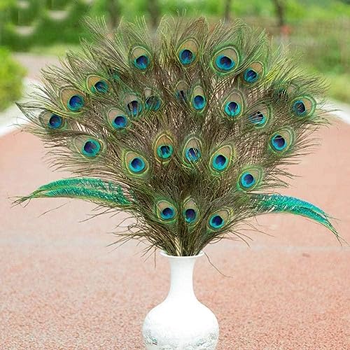 ZIRYXQ Neue Pfau Schwanz Party Zimmer Dekoration Wohnzimmer Familie Bett Werkzeug Zimmer Dekor Hochzeit ZIRYXQ Neue Pfau Schwanz Party Zimmer Dekoration Wohnzimmer Familie Bett Werkzeug Zimmer Dekor Hochzeit von ZIRYXQ
