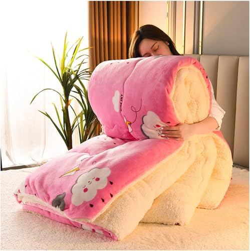 ZJGFCB Super Warmes Lammlamm Samtstoff Stoff Winter Quilt Decke, Verdickte Warme Atmungsaktive Kaschmirfaser-gefüllte Kernkerndecke Für Kaltes Wetter(Size:180x220cm（3kg）,Color:C) von ZJGFCB