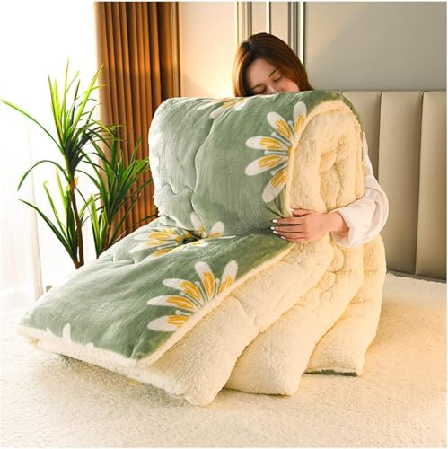 ZJGFCB Super Warmes Lammlamm Samtstoff Stoff Winter Quilt Decke, Verdickte Warme Atmungsaktive Kaschmirfaser-gefüllte Kernkerndecke Für Kaltes Wetter(Size:180x220cm（3kg）,Color:E) von ZJGFCB