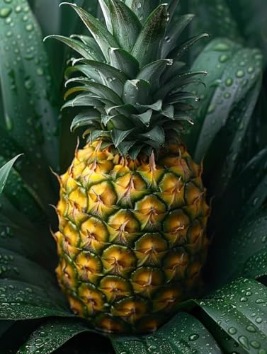 Ananas Diamond Painting Erwachsene, 5D Diamant Painting Bilder Obst Muster Design, Eckige Steine Diamond Art Kinder DIY Strass Stickerei Bastelset für Wanddeko Schlafzimmer, (60x80 cm) -zjn2506S2 von ZJNBBDOU