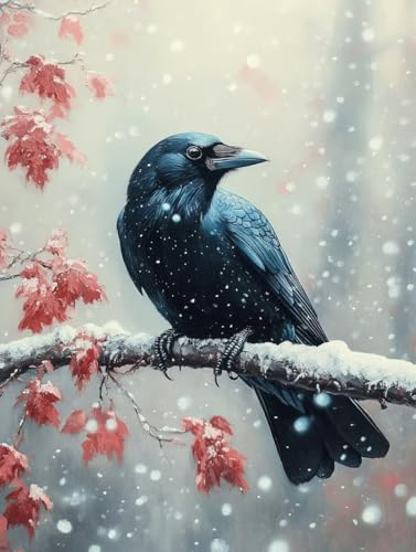 Malen Nach Zahlen Erwachsene, Malen Nach Zahlen Krähe Paint by Numbers Winter Painting by Numbers DIY Set Erwachsene mit 3 Pinsel und Acrylfarben Set für Deko Wohnzimmer (60x80cm) -zjn2507Y9Q5Z von ZJNBBDOU