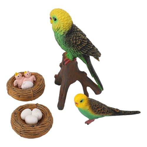 Realistischer Papageienwachstumszyklus -Figur -Bildungsspiel Simuliertes Vogelmodell für Home Office Party Decor Realistischer Papageienwachstumszyklus -Figur -Bildungsspiel Simuliertes Vogelmodell für Home Office Party Decor von ZJchao
