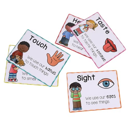 ZJchao Fünf Sinne Poster Klassenzimmer Dekor -Bildungsdiagramm für Kinderlehrer mit Glänzender Beschichtung Langlebiger Papier für Kindergärten Geeignet von ZJchao