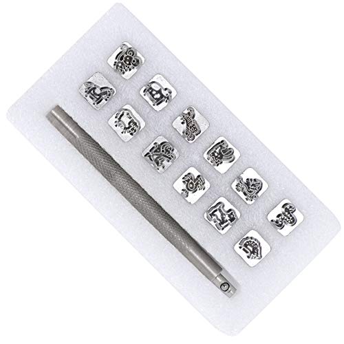 ZJchao Metall -Stempelkit, Legierungstahl -Punsch Set mit 12 propcs Briefmarken Kit für Lederfahrzeuge (#1) von ZJchao