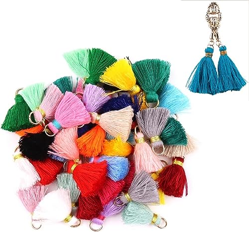Mini Fransen Quasten 50 Stück Quaste Anhänger Mini Quasten Bunte Quaste 2cm Quaste Anhänger Mini Dekorative Quasten Handgemachte Quasten für Ohrringe DIY Handwerk Schlüsselanhänger Schmuckherstellung Mini Fransen Quasten 50 Stück Quaste Anhänger Mini Quasten Bunte Quaste 2cm Quaste Anhänger Mini Dekorative Quasten Handgemachte Quasten für Ohrringe DIY Handwerk Schlüsselanhänger Schmuckherstellung von ZKSXOA