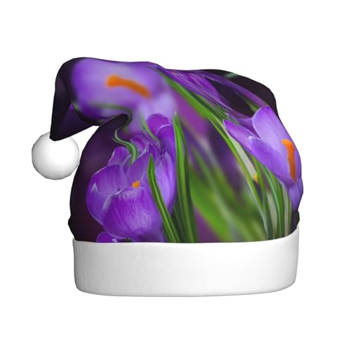 ZKZBDPLK Weihnachtsmütze mit Weihnachtsmann-Motiv, grüne Blätter und violette Blumen, Unisex, Erwachsene ZKZBDPLK Weihnachtsmütze mit Weihnachtsmann-Motiv, grüne Blätter und violette Blumen, Unisex, Erwachsene von ZKZBDPLK