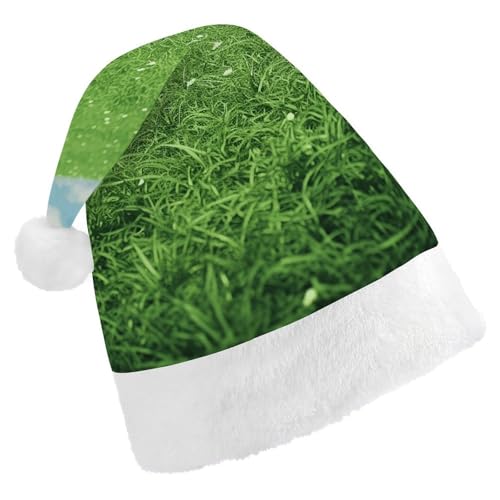 ZLFDSKGY Weihnachtsmütze, grüner Rasen-Druck, Weihnachtsmannmütze, Erwachsene, Weihnachtsmütze, Neujahrsparty, festliches Zubehör für Uni-Geschenk ZLFDSKGY Weihnachtsmütze, grüner Rasen-Druck, Weihnachtsmannmütze, Erwachsene, Weihnachtsmütze, Neujahrsparty, festliches Zubehör für Uni-Geschenk von ZLFDSKGY
