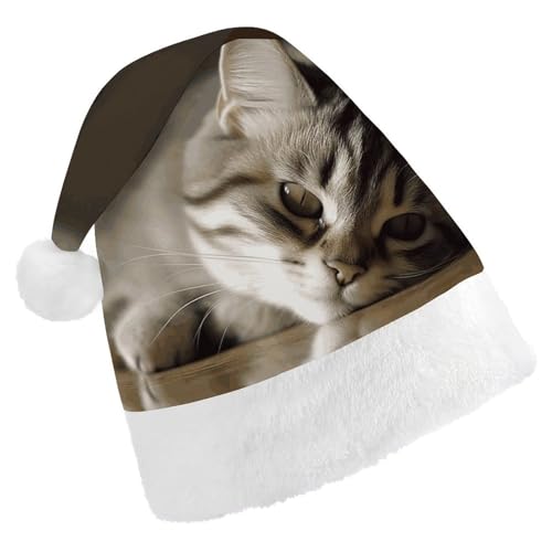 ZLFDSKGY Weihnachtsmütze, schlafende Katze, bedruckt, Weihnachtsmannmütze, Erwachsene, Weihnachtsmütze, Neujahrsparty, festliches Zubehör für Uni-Geschenk ZLFDSKGY Weihnachtsmütze, schlafende Katze, bedruckt, Weihnachtsmannmütze, Erwachsene, Weihnachtsmütze, Neujahrsparty, festliches Zubehör für Uni-Geschenk von ZLFDSKGY