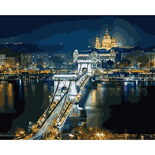 DIY Malen Nach Zahlen Kits,Budapest Nachtansicht 40 x 50cm DIY Leinwand Gemälde für Erwachsene und Kinder, Enthält Acrylfarben und 3 Pinsel(Mit Rahmen) von ZLLBF