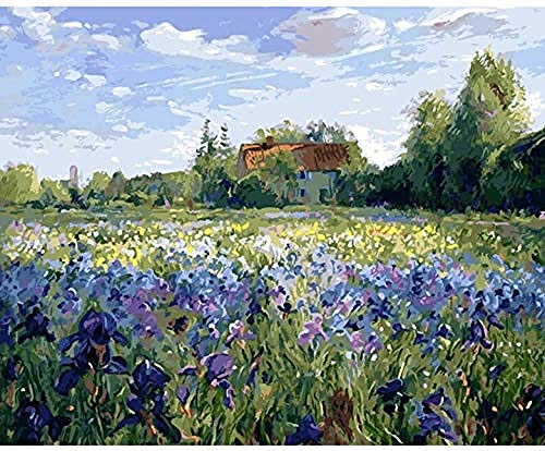 ZLLPRETTY Malen nach Zahlen Erwachsene Van Gogh Iris Malen Nach Zahlen DIY 40X50 cm Enthält 3 Pinsel und 1 Acrylfarben Kinder & Anfänger,16 x 20 Zoll Leinwand Ohne Rahmen von ZLLPRETTY