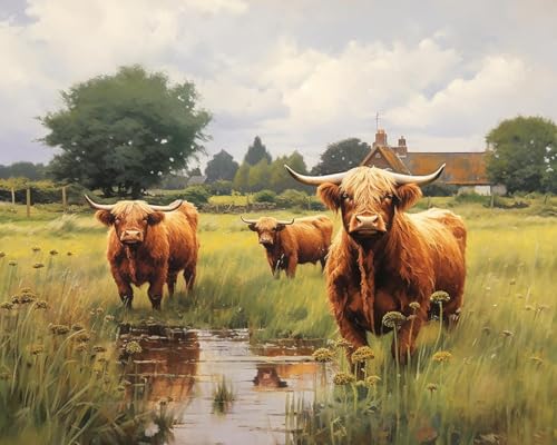 Malen nach Zahlen für Erwachsene, Anfänger auf Leinwand, handgefertigtes Ölgemälde-Set für die Wanddekoration zu Hause,40x50cm,Westhochlandrinder von ZLYHAL