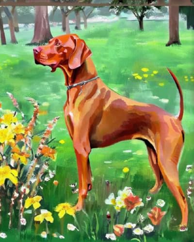 Ölgemälde Malen nach Zahlen Kits Vizsla-Hund im Blumengras Paint by Numbers Geburtstag Home Haus Deko-Ohne Rahmen,40x50cm von ZLYHAL