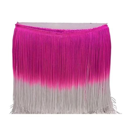 ZMCGNO 20 cm 10 Meter Bunte Quaste Fransenbesatz for Kleidung Nähen Latein Kleid Bühne Home Dekoration Spitzenbesatz DIY Zubehör(Color19,10 Meters) von ZMCGNO
