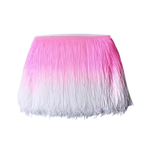 ZMCGNO 20 cm 10 Meter Bunte Quaste Fransenbesatz for Kleidung Nähen Latein Kleid Bühne Home Dekoration Spitzenbesatz DIY Zubehör(Color2,10 Meters) von ZMCGNO