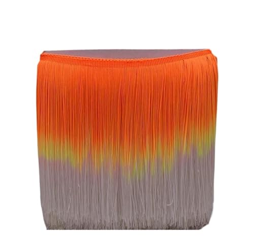 ZMCGNO 20 cm 10 Meter Bunte Quaste Fransenbesatz for Kleidung Nähen Latein Kleid Bühne Home Dekoration Spitzenbesatz DIY Zubehör(Color20,10 Meters) von ZMCGNO