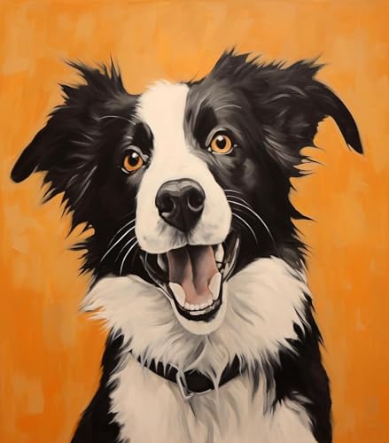 DIY Malen nach Zahlen auf Leinwand,Border-Collie-Hund,Einzigartige Farben und Texturen,40x50cm,Ohne Rahmen DIY Malen nach Zahlen auf Leinwand,Border-Collie-Hund,Einzigartige Farben und Texturen,40x50cm,Ohne Rahmen von ZMHZMY
