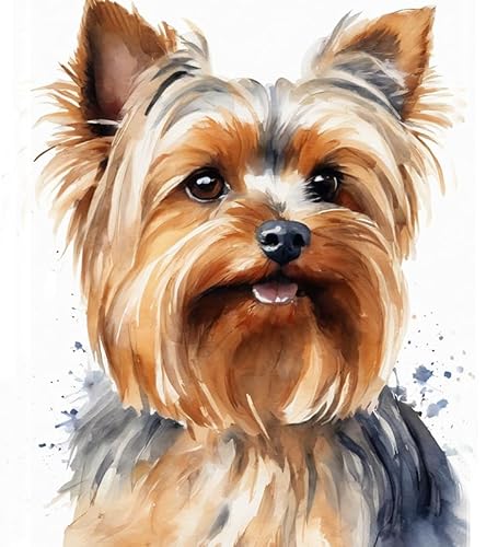 DIY Malen nach Zahlen auf Leinwand,Yorkshire-Terrier-Hund,Einzigartige Farben und Texturen,40x50cm,Ohne Rahmen DIY Malen nach Zahlen auf Leinwand,Yorkshire-Terrier-Hund,Einzigartige Farben und Texturen,40x50cm,Ohne Rahmen von ZMHZMY