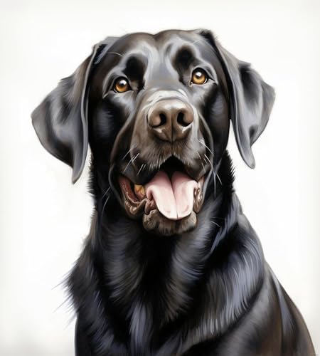 DIY Malen nach Zahlen für Erwachsene Labrador Retriever DIY Ölgemälde von Numbers Kit Craft DIY Farbe auf Leinwand rahmenlose Landschaft, 40 x 50 cm, ohne Rahmen DIY Malen nach Zahlen für Erwachsene Labrador Retriever DIY Ölgemälde von Numbers Kit Craft DIY Farbe auf Leinwand rahmenlose Landschaft, 40 x 50 cm, ohne Rahmen von ZMHZMY